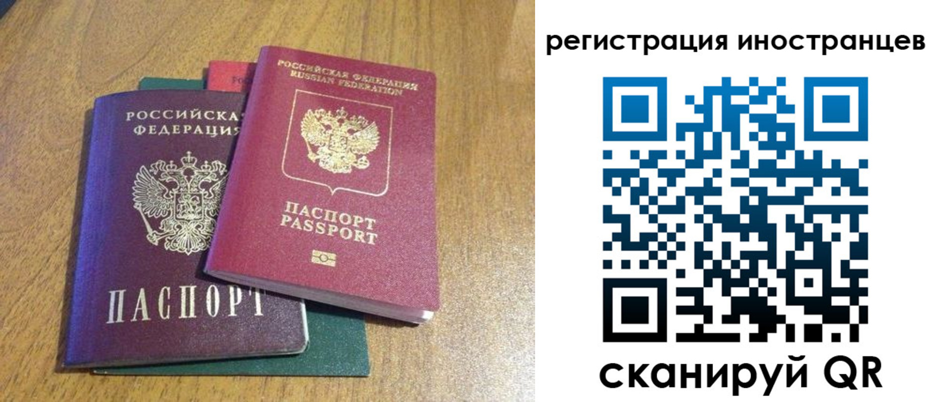 временная регистрация поиск в Тайге
